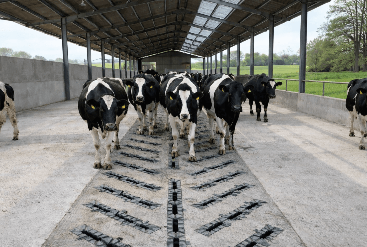 Agricultural Flooring