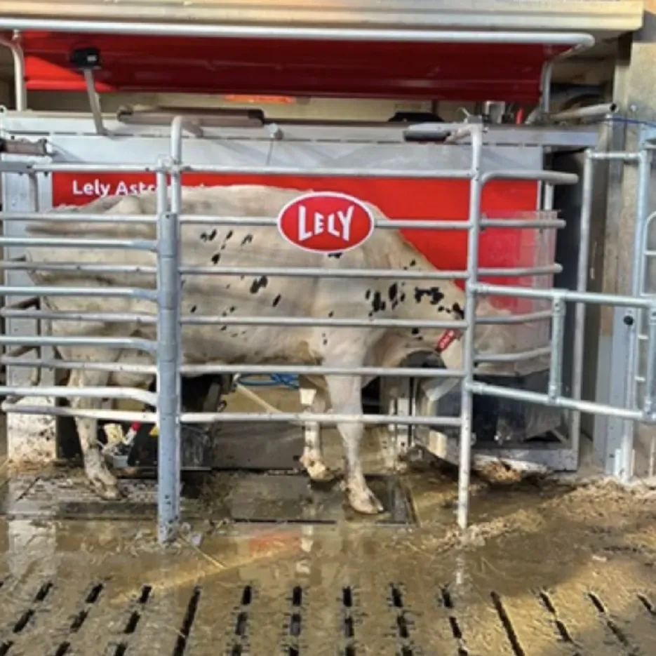 Agristride case study
