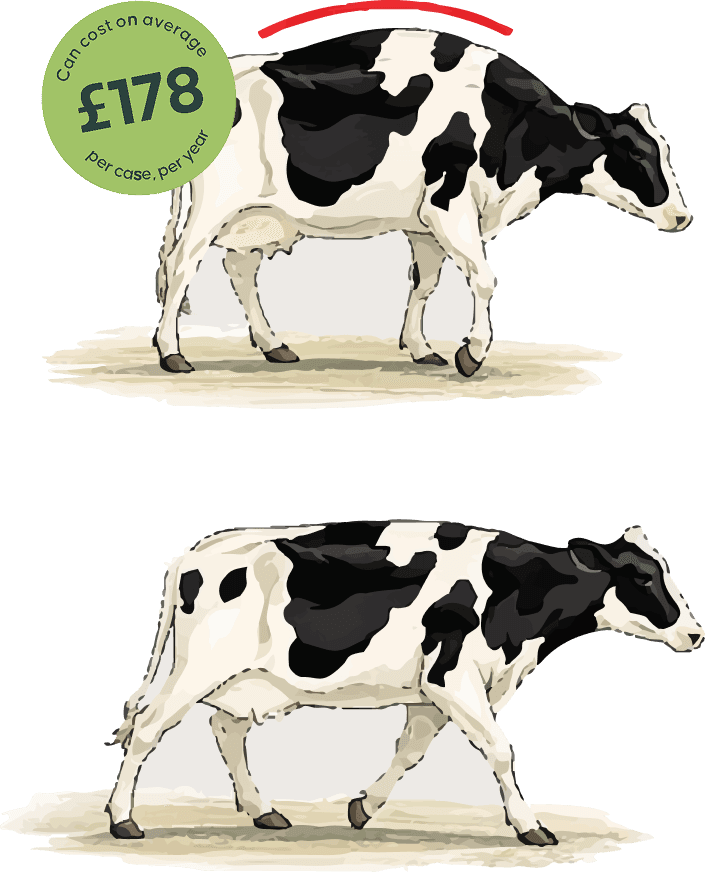 Cow Cost image